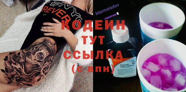 шишки Богородск