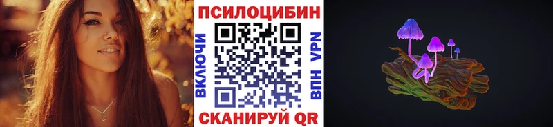 Галлюциногенные грибы Psilocybe  Купить  Кедровый 
